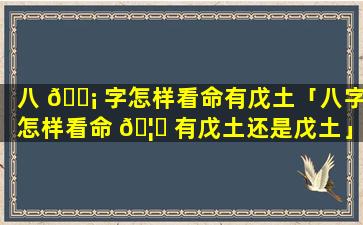 八 🐡 字怎样看命有戊土「八字怎样看命 🦟 有戊土还是戊土」